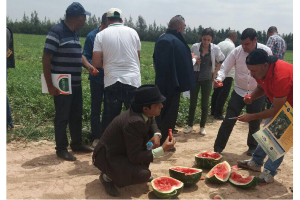 ORKA F1 FIELD DAY - MARRAKESH !!!