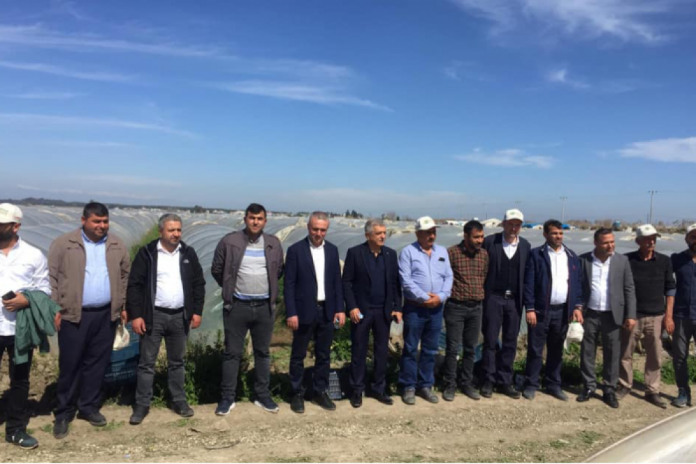  TORPİDO F1 & İNCİ F1 Field Day - Bahsis Village/MERSIN