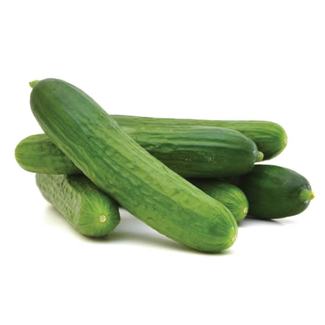 Cucumber