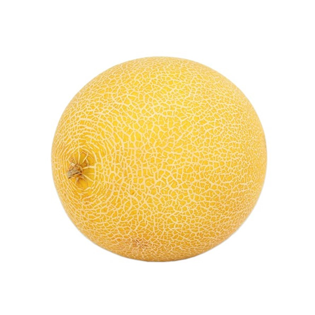 Melon